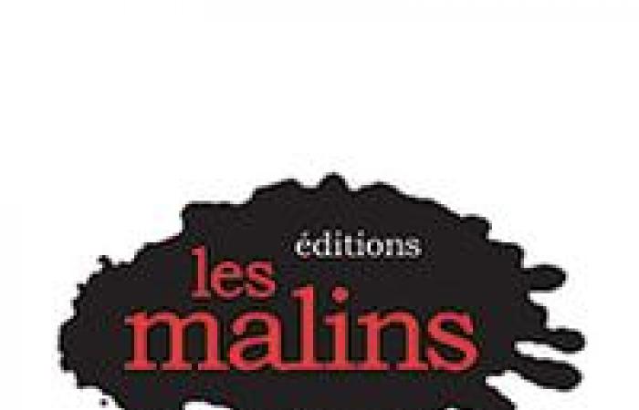 Communications and Marketing Coordinator | Les Malins editions