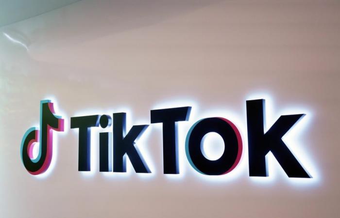 TikTok offers brands ambassadors animated by AI