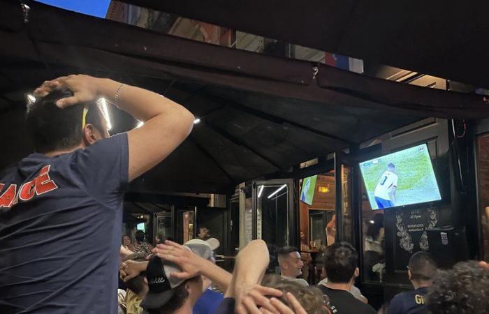 France-Austria: a “laborious” match, but Toulouse residents are there to support the Blues