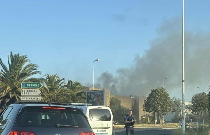 Thick black smoke and impressive fire in Perpignan: what is happening?