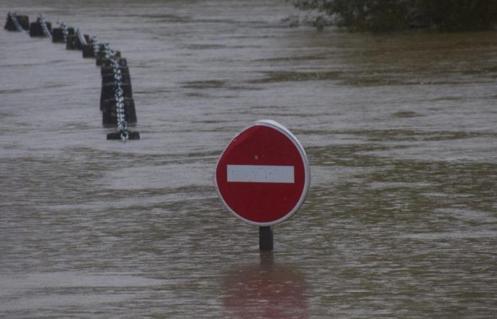 Floods in Angers. A call launched to collect testimonies
