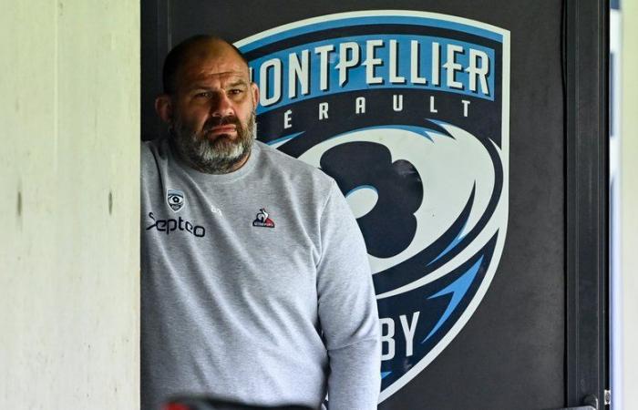 Top 14 – “We knew it was in the very short term”, Patrice Collazo reacts to his ouster from Montpellier