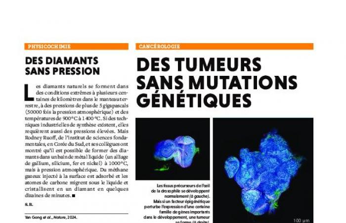 Tumors without genetic mutations