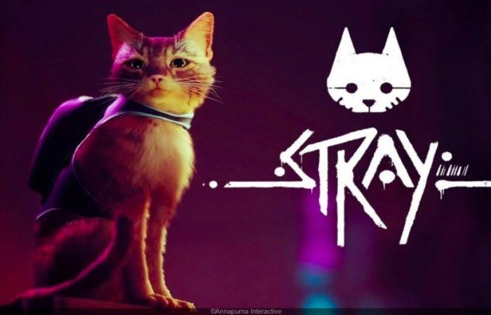 Stray: transform yourself into a cat with this app from BlueTwelve Studios coming soon to Nintendo Switch