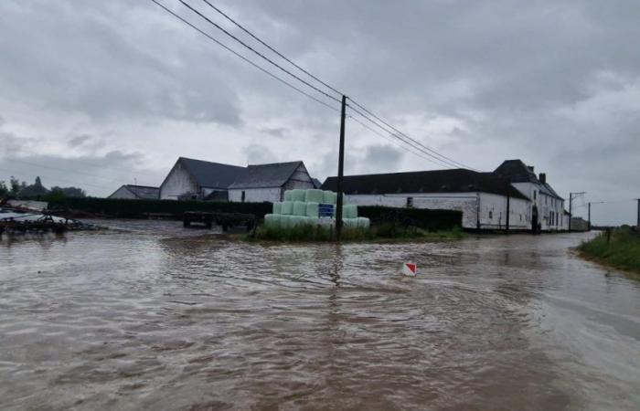 Floods and mudslides in Wallonia: update on the situation