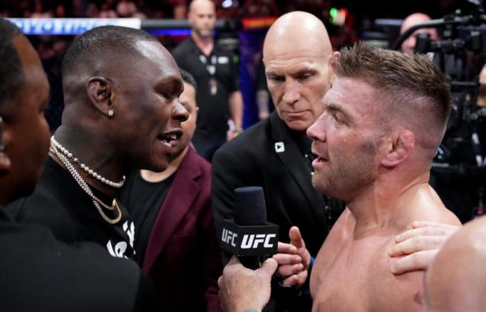 the UFC offers itself the “African derby” with the Du Plessis-Adesanya clash