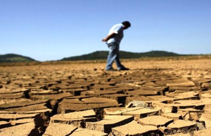 Day to combat desertification and drought