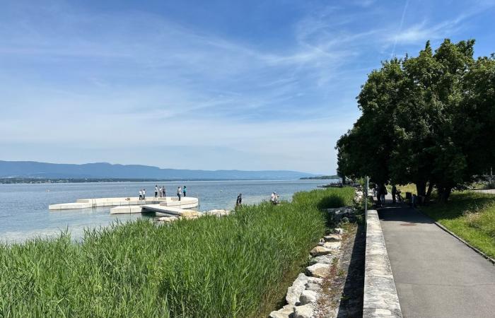 Cologny: a new swimming spot inaugurated