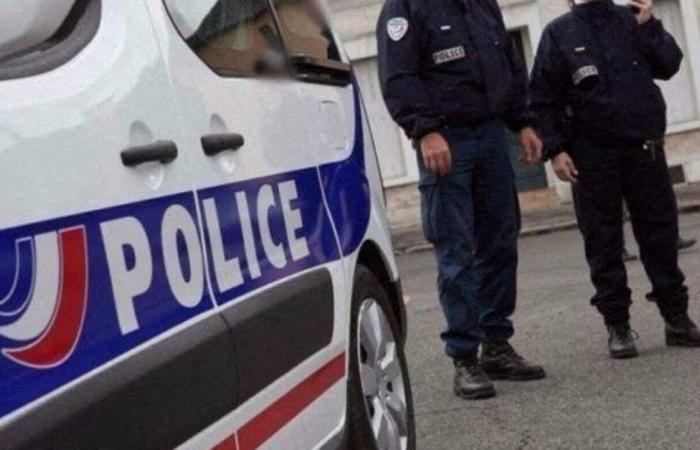 Domestic violence in Seine-et-Marne: a woman in a coma, her partner imprisoned