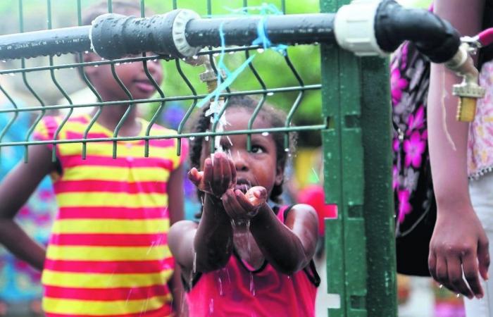Mayotte: a new outbreak of cholera detected