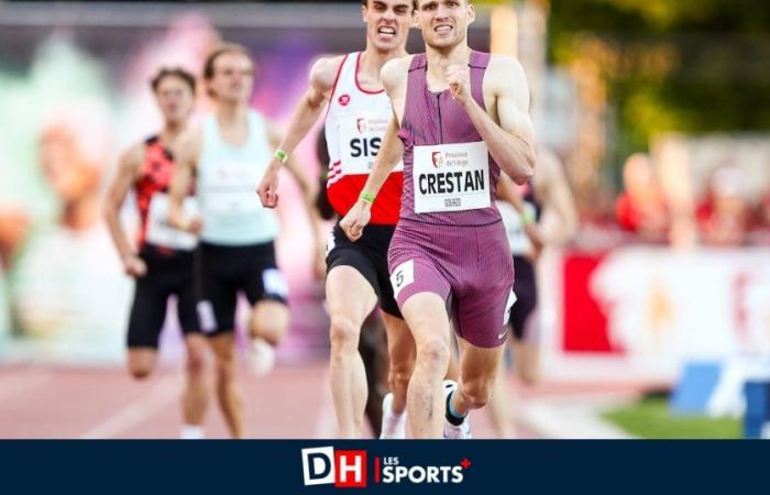 International meeting of the Province of Liège: Eliott Crestan sets a Belgian record, Carmoy and Broeders win