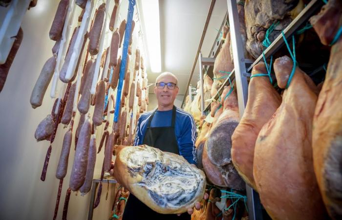 Daniel Tailleur, the Béarnais breeder who collects prizes at the Bayonne ham fair