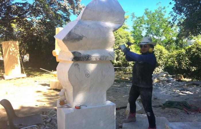 The symposium sculptures take shape, in Alès, in the Bosquet gardens