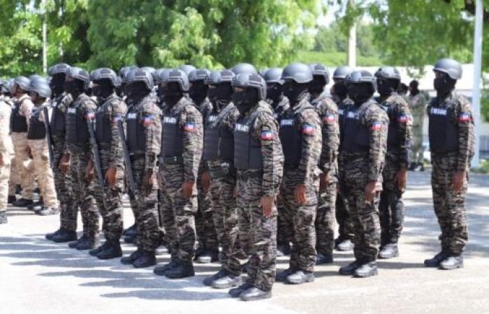 The Police strengthens its specialized units