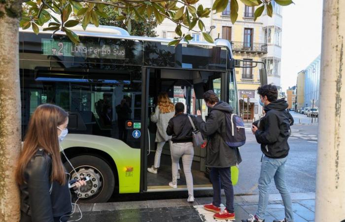 Agglo de Pau: the price of a bus ticket increases for the first time in eight years