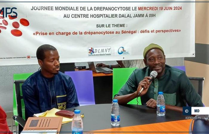 SENEGAL-SANTE-POINT / Sickle cell anemia: 4,900 children followed at the Albert Royer de Fann children’s hospital (manager) – Senegalese press agency