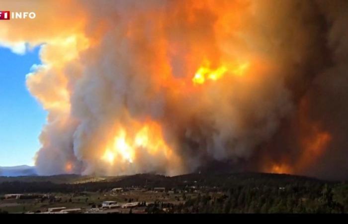 Giant fires in the United States: images of fires out of control