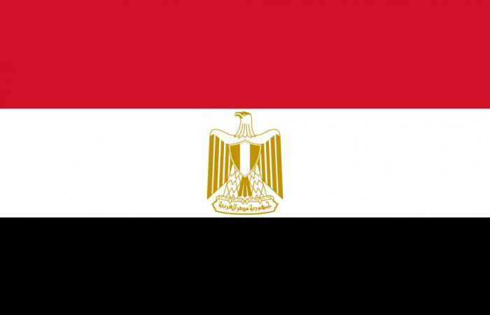 Egypt: Purchase of Liquefied Natural Gas with Deferred Payments Due to the Economic Crisis