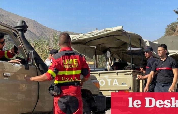 Fight against fires: Spain reaffirms its cooperation with Morocco