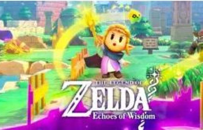 Nintendo finally lets us play the princess