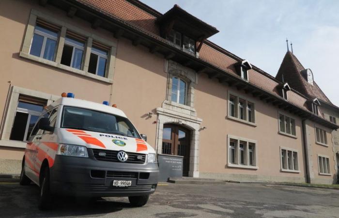 Yverdon: young autistic person tried for the assassination of his brother
