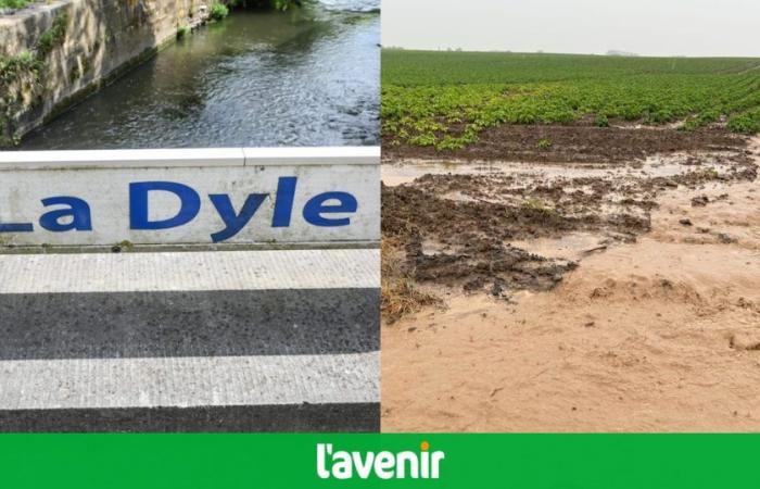 Bad weather in Belgium: the Dyle on flood alert, floods in Walloon Brabant and Hainaut