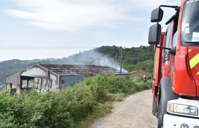 Fire in an agricultural building near Brioude: the risk of explosion averted, 70 people still without electricity