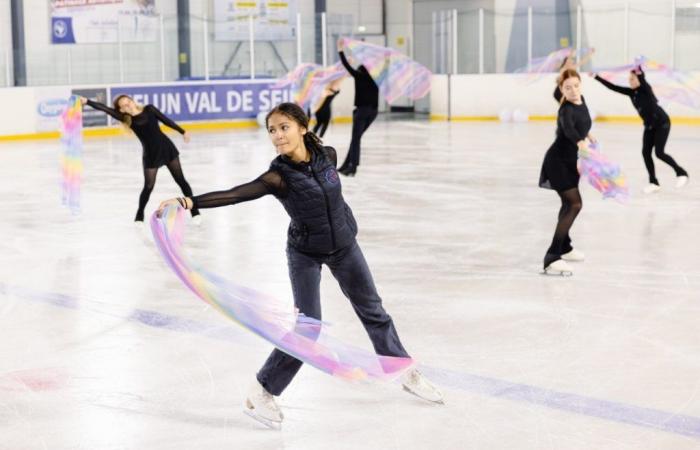 Dammarie-lès-Lys: the ice sports charity gala will see things big