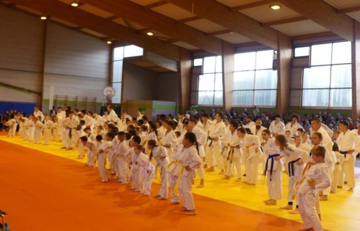 The Marnaval Judo Club has put on its gala outfit