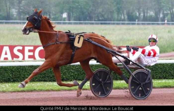 HUDO DU RUEL in the Grand National Du Trot is to follow