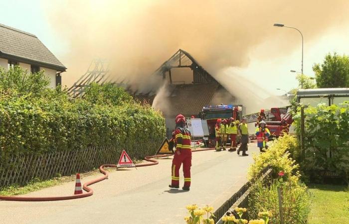Grosseinsatz wegen Brand in Dintikon – Bund gibt Entwarnung