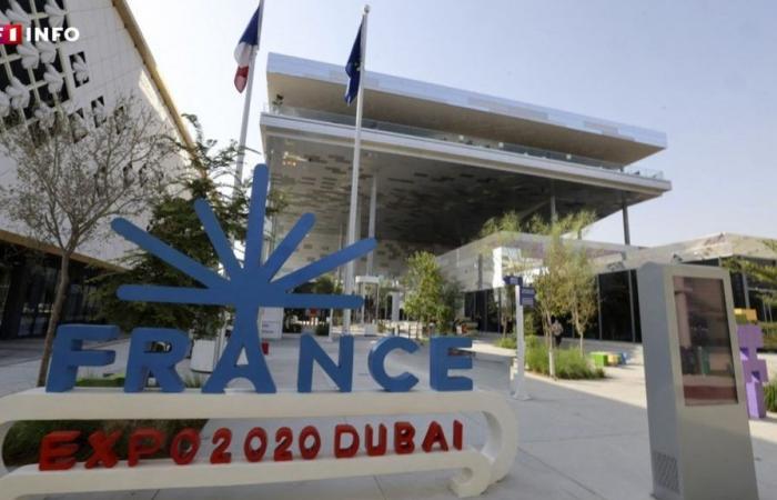 “It’s your money”: the French pavilion in Dubai, an architectural marvel that has become… a pile of scrap metal