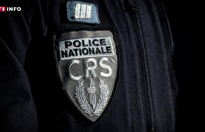 Strasbourg: two police officers sentenced to prison after violent arrest