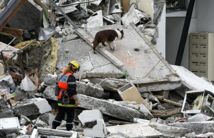 Collapse of a building in the Wilson district in Reims: relaxation requested by the public prosecutor