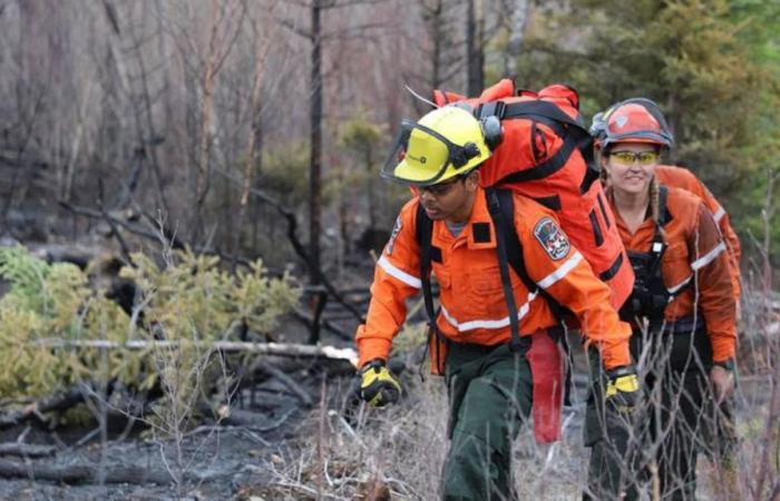 SOPFEU working to put out a forest fire between Murdochville and Gaspé