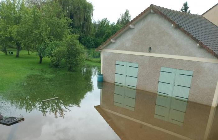 LIVE – Orange warning for floods, roads cut, cows saved from the water… Update after the storms in the Cher