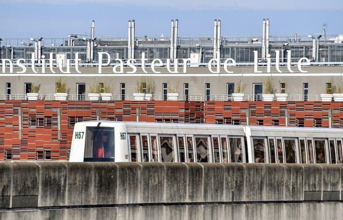 major disruptions expected on the Lille metro network this Friday