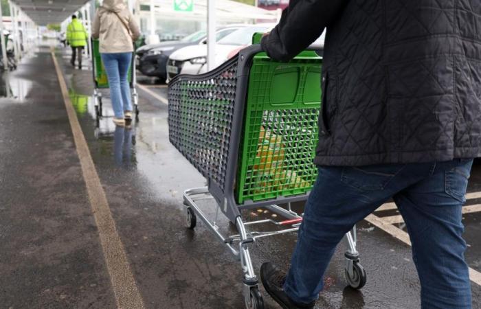 RN vote in Bruay-la-Buissière: “We do 200 shopping balls and there is nothing in the cart”