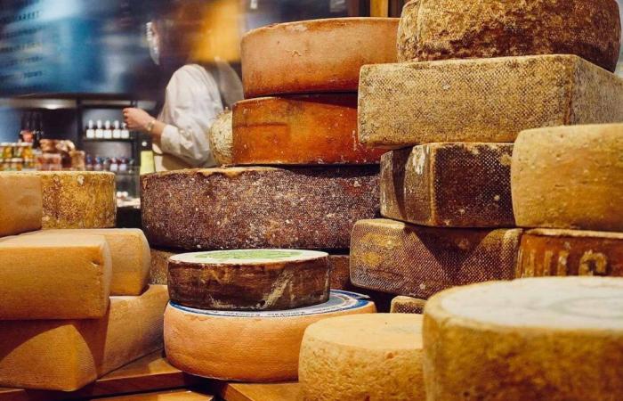The hidden benefits of cheese on mental health and life expectancy