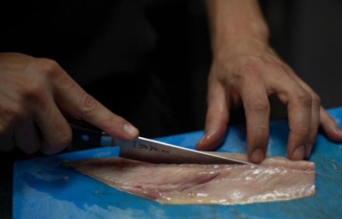 Nearly 71% of French people do not consume fish and shellfish because of their price