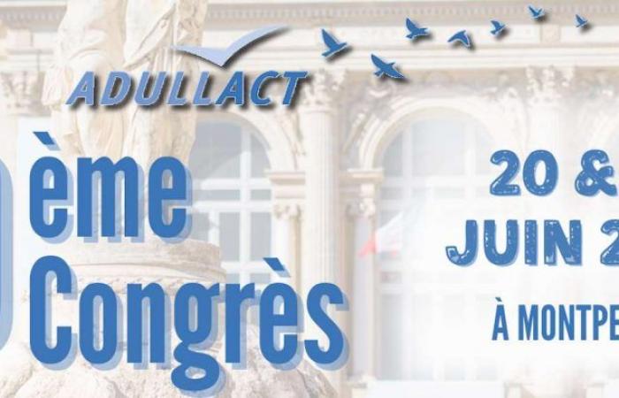 The 9th Adultact Congress – June 20 and 21, 2024 – Montpellier