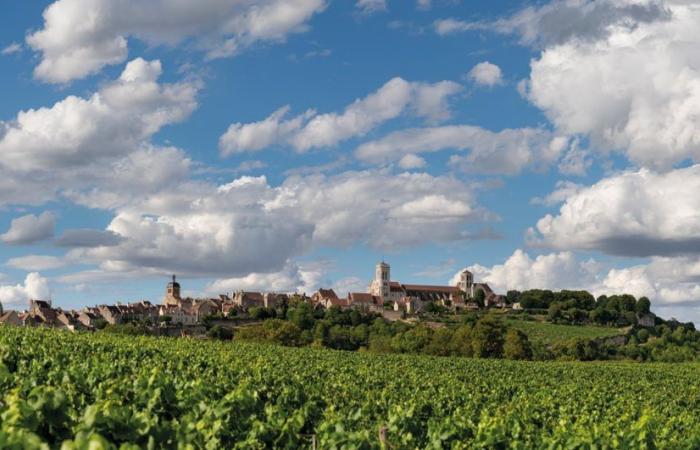 Vézelay enters the Hospices de Beaune estate
