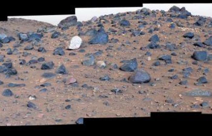 A NASA rover has discovered an intriguing white rock on Mars!