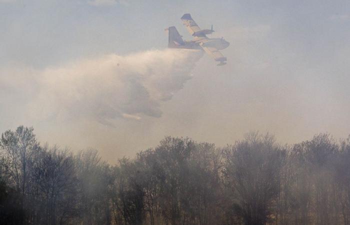 Newfoundland and Labrador | Air tankers from Quebec and Ontario to fight forest fires