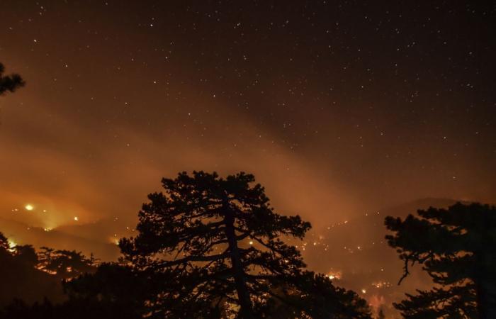 Forest fires claim lives in Türkiye