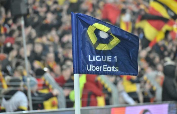 Discipline: sanctions announced against Saint-Etienne and Lyon supporters