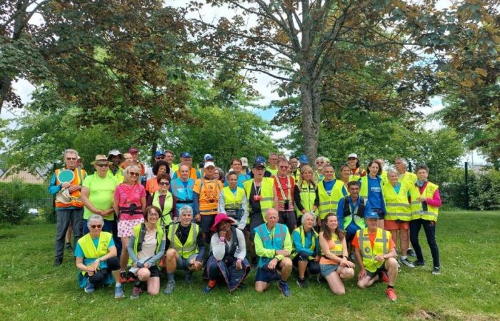 Walking for 100 kilometers: around Flers, these athletes aim for the golden eagle