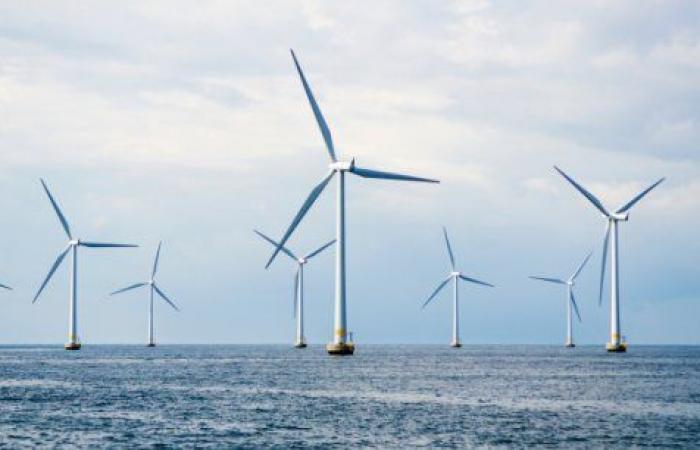 Offshore Wind: Morocco in pole position!