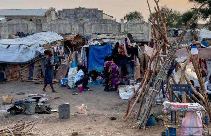 World Refugee Day: War in Sudan exacerbates humanitarian needs in neighboring South Sudan