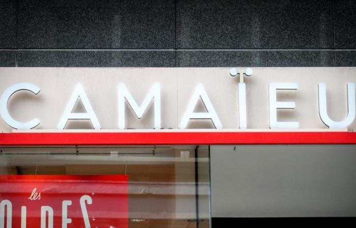 bought by Celio, the Camaïeu brand will be reborn in Belgium!